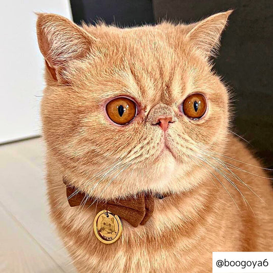 うちの子キーホルダー(丸型)